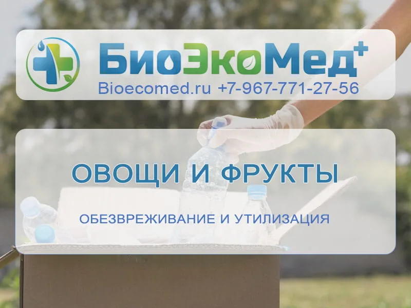 Овощи и фрукты